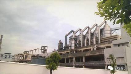 鹽中精華，卓筒晶品 品牌商標申請的戰略之路