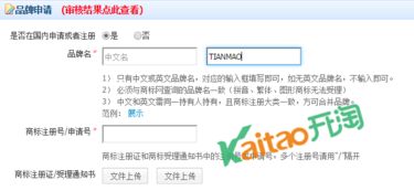 速賣通商標(biāo)申請(qǐng)信息填寫全攻略 正確標(biāo)注商標(biāo)狀態(tài)的核心要點(diǎn)